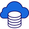 vps viet intel gold icon